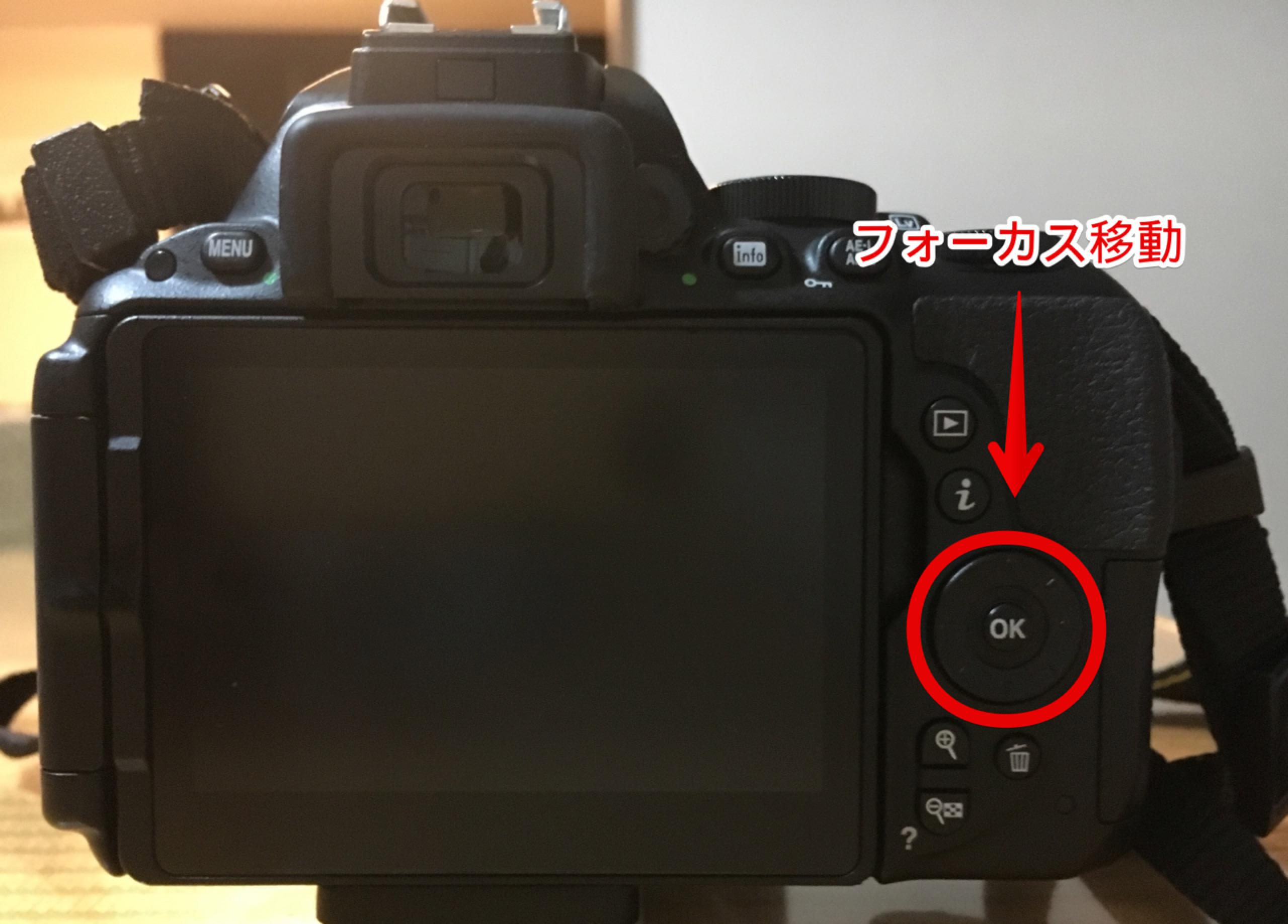 D5500 D5600 タッチfnの設定と使い方 動体撮影にはめっちゃ便利 Secondnotes