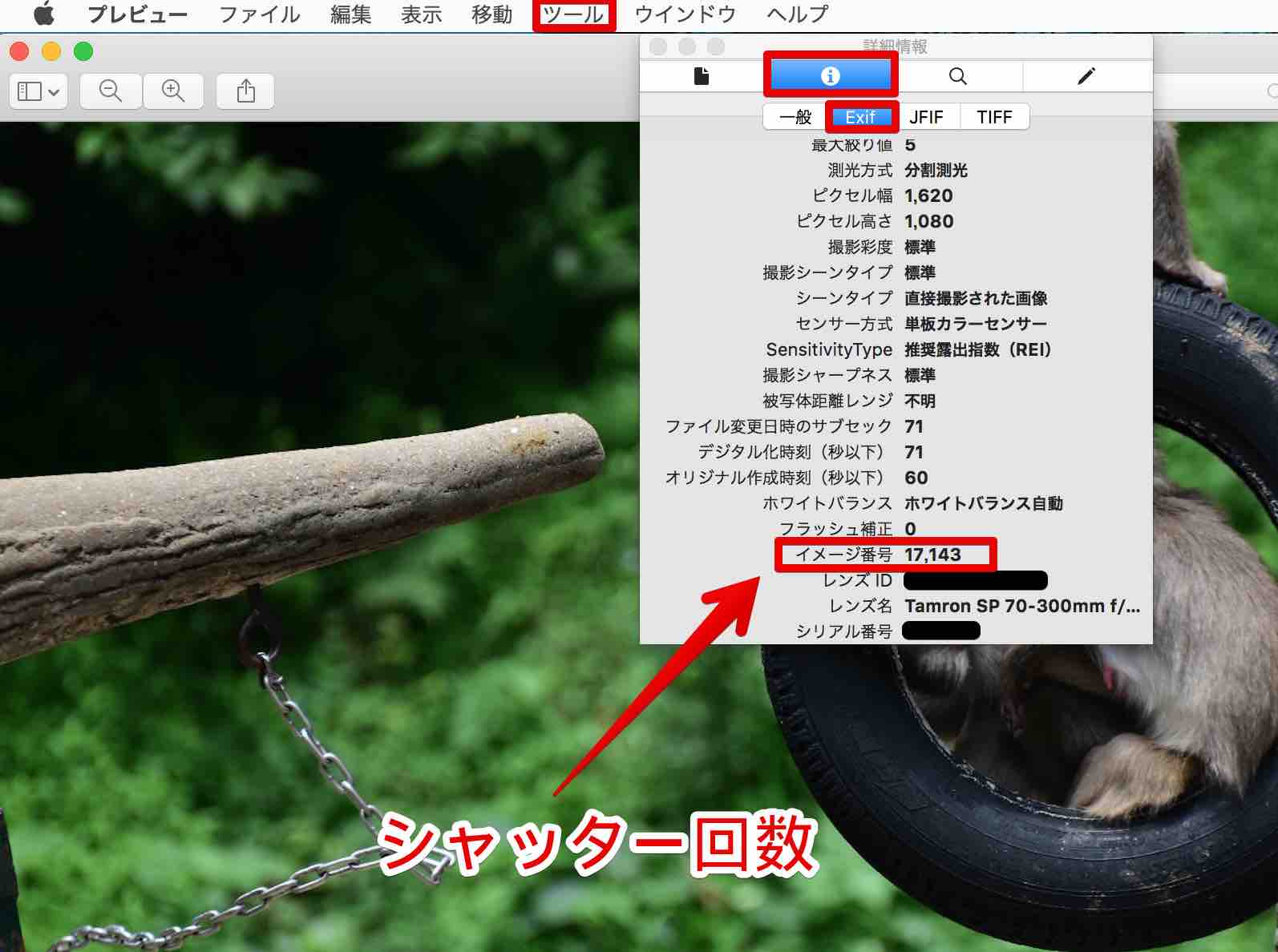 Macやiphoneでカメラのシャッター回数を調べる方法 Secondnotes